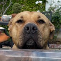 S.Nunn (@getsomesense9) 's Twitter Profile