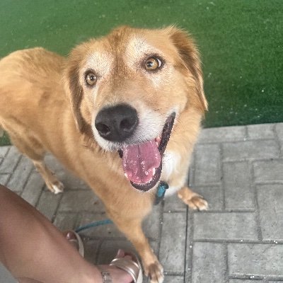 MarathonMapa's profile picture. 