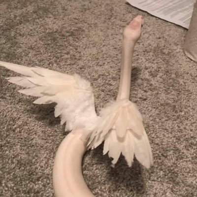 Juju Zatoraさんのプロフィール画像