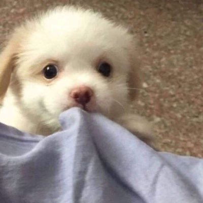 rznnim13's profile picture. ไม่อยากเป็นสาววาย