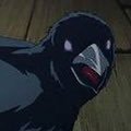 Crow (@crooooo0000000w) 's Twitter Profile