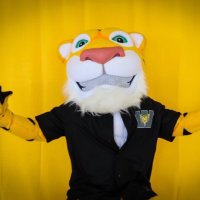 Tails the Tiger (@jwhstiger) 's Twitter Profile Photo Tails the Tiger (@jwhstiger) 's Twitter Profile Photo