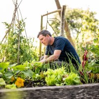 Gill meller (@gillmeller) 's Twitter Profile
