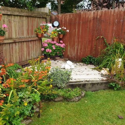 MrsSaliMali's profile picture. 