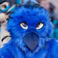 Ægialeus (@bl4ckph03n1x) 's Twitter Profile