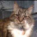 Helen Briscoe - @pokeysmama - Twitter