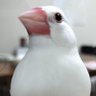 annnnndlYU's profile picture. 最初はただギャンブルが好きなだけだったのに