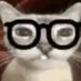 :3 (@polodrawrs) Twitter profile photo :3 (@polodrawrs) Twitter profile photo