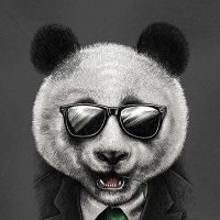 0xkuj (@0xkuj) 's Twitter Profile