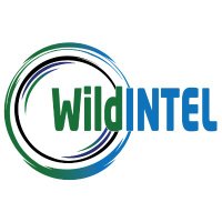 WildINTEL (@wildintproject) 's Twitter Profile