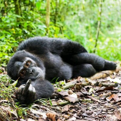 Dennis78817652's profile picture. Looking forward for a better life