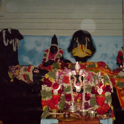 thailiraju's profile picture. 