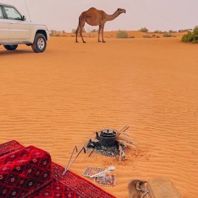 abbamadoum0's profile picture. 