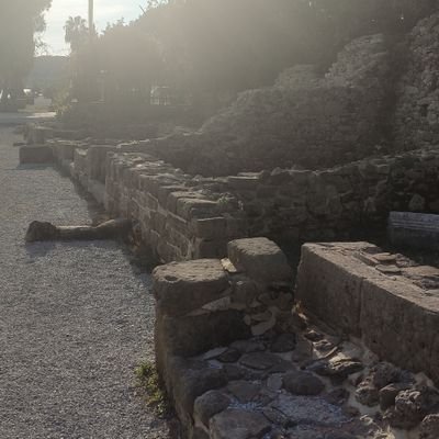 kursatyarar's profile picture. 