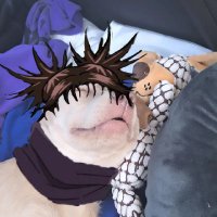 チクソシ~🖤 (@chxosyy) Twitter profile photo