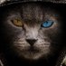 кто-то из айса (@nektofromice) Twitter profile photo