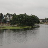 Raghavendra B Pachhapur (@rbpachhapur) 's Twitter Profile Photo Raghavendra B Pachhapur (@rbpachhapur) 's Twitter Profile Photo