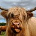 HighlandGNU (@gnuhighland) Twitter profile photo