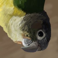 Aberrantologist (@aberrantologist) 's Twitter Profile Photo Aberrantologist (@aberrantologist) 's Twitter Profile Photo