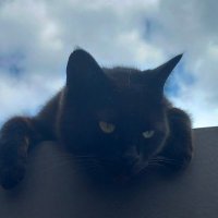 Marc ram💙💚 (@marc_ram1603) Twitter profile photo