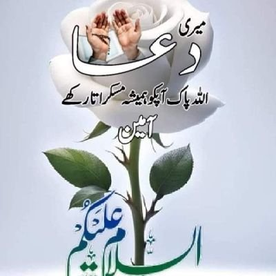 ammar1159062's profile picture. 