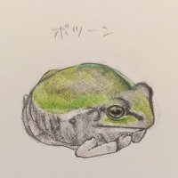 ケロケロ警備員🐸 (@frog_guard) Twitter profile photo