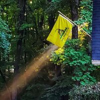 Hutch USA (@hutch_usa) 's Twitter Profile