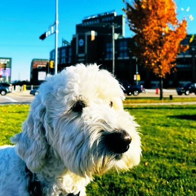 UpWiscy's profile picture. Husband, Father 5x, USAF Veteran, Catholic, Independent, Wisconsin sports #Brewers, #Badgers, #Bucks, #Packers, Work @boisestate #BoiseState