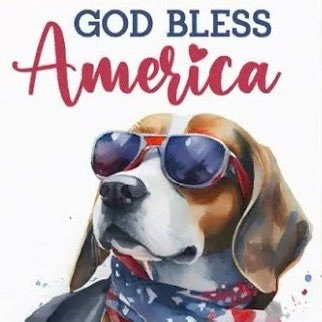 mppbeagle's profile picture. 