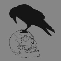 Raven GenXer (@ravengenxer) 's Twitter Profile