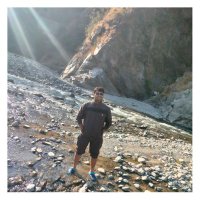pankaj rathore (@pankajr15605150) 's Twitter Profile