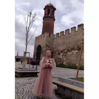 Aylinnn (@aylin_ozsert) 's Twitter Profile