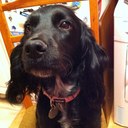 Wayne Hooper - @wayne_hooper - Twitter