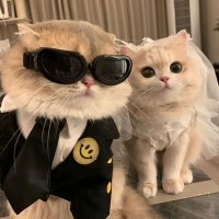 syipa ✨ free tag (@easywinyeay) 's Twitter Profile