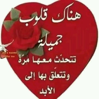 mdn1953667's profile picture. 