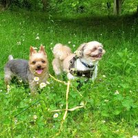 RUN (@run20825372) 's Twitter Profile Photo RUN (@run20825372) 's Twitter Profile Photo