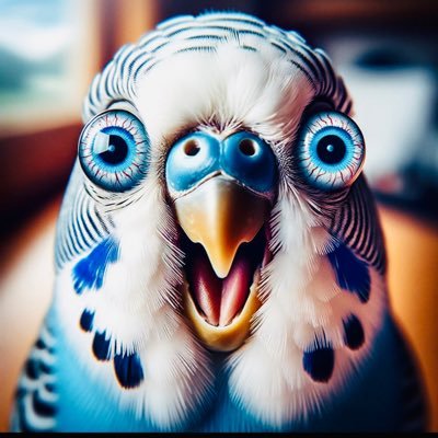 RAguila_7's profile picture. 𝚅𝚎𝚛, 𝚕𝚎𝚎𝚛, 𝚘𝚋𝚜𝚎𝚛𝚟𝚊𝚛 𝚢 𝚘𝚙𝚒𝚗𝚊𝚛.   #𝚁𝙲𝙳𝙴𝚜𝚙𝚊𝚗𝚢𝚘𝚕