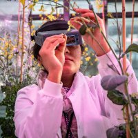 Building Robustness in Crops (@bric_isp) 's Twitter Profile Photo Building Robustness in Crops (@bric_isp) 's Twitter Profile Photo