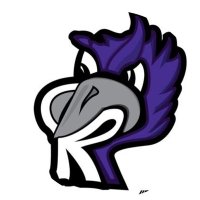 Castlewood Ravens (@cwoodravens97) 's Twitter Profile Photo Castlewood Ravens (@cwoodravens97) 's Twitter Profile Photo
