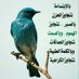 قلب الليل (@yesno4466) Twitter profile photo