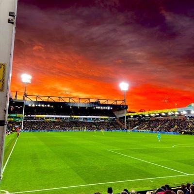 William17377928's profile picture. huge @NorwichCityFC fan