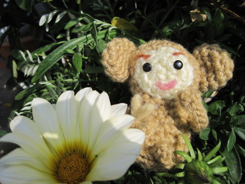 pittyori's profile picture. JR高槻駅 西口から徒歩7~8分
芥川町に、
楽しい雑貨屋ちくちくオープンしました