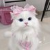 𝑚𝑖𝑡𝑠𝑢 🎀 (@ny12_2) Twitter profile photo 𝑚𝑖𝑡𝑠𝑢 🎀 (@ny12_2) Twitter profile photo