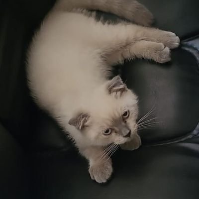 Lale5734's profile picture. Hayat kısa kuşlar uçuyor. 🐦🐦🐦