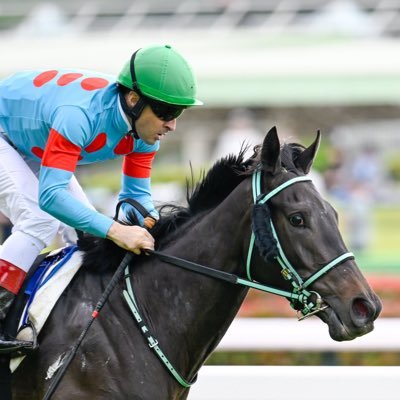 KEQGzLGxv624cEI's profile picture. 競馬（シルク会員&馬券）