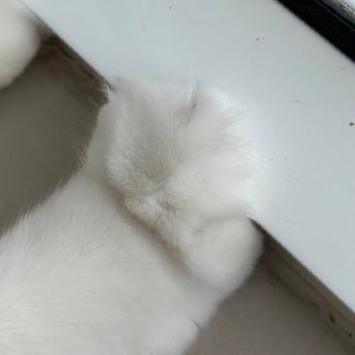 drwillseayou's profile picture. & (🥑🌊) enjoy the ride