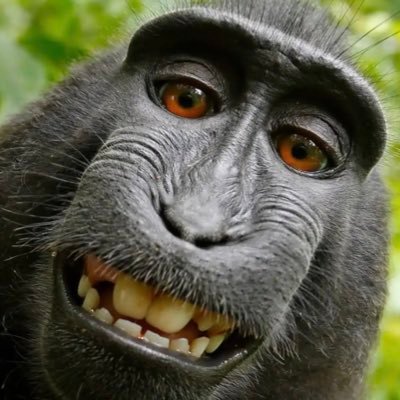 CescMorejon's profile picture. 