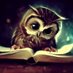 Hibou Lecteur (@hibou_lecteur) Twitter profile photo Hibou Lecteur (@hibou_lecteur) Twitter profile photo