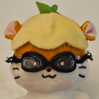 숕밥정식🍚 (@my_idol_shotaro) 's Twitter Profile Photo