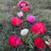 Hafsa Nur (@sad_fecr99595) Twitter profile photo Hafsa Nur (@sad_fecr99595) Twitter profile photo